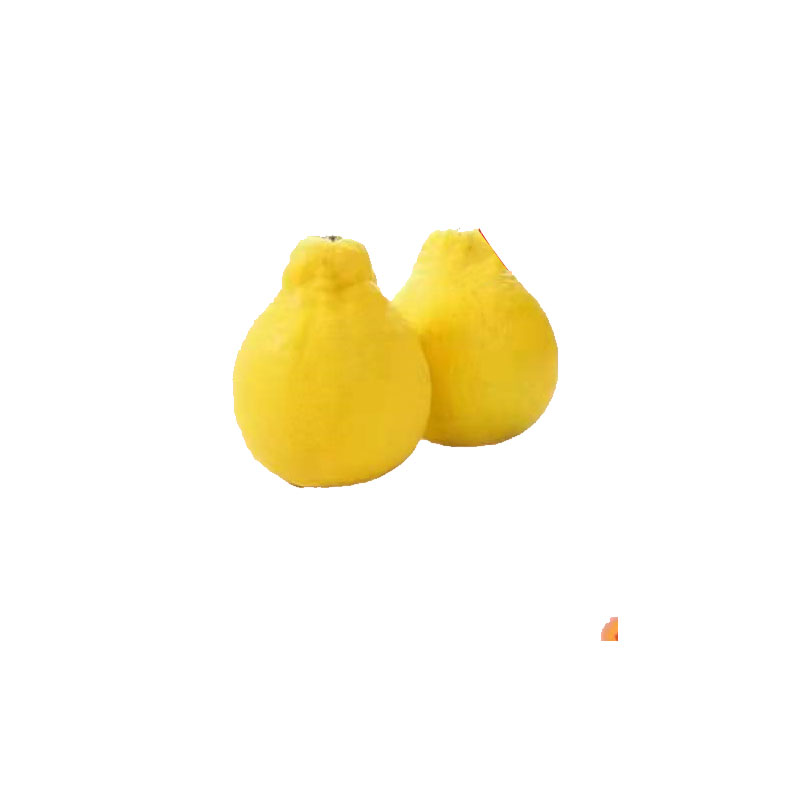 492974_P_1641758047907.jpg