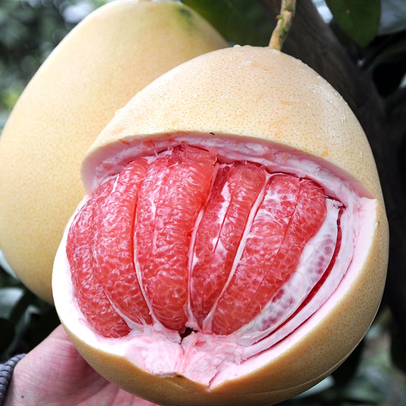 梅州 蜜柚三红肉蜜柚水果新鲜当季两个装 6斤重 包邮 礼盒包装_水果礼